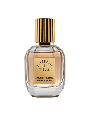 A NIGHT AT THE OPERA